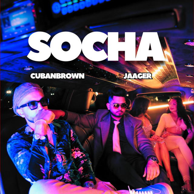 Socha