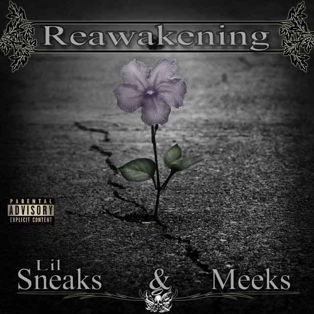 Meeks | Spotify