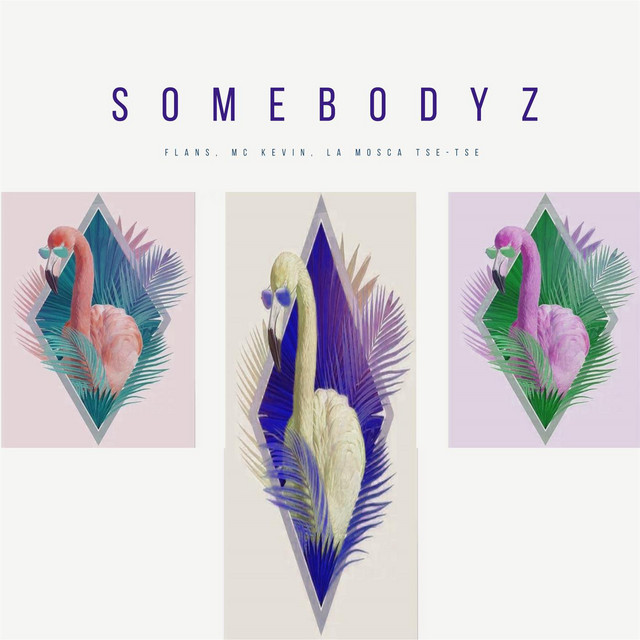 Somebodyz