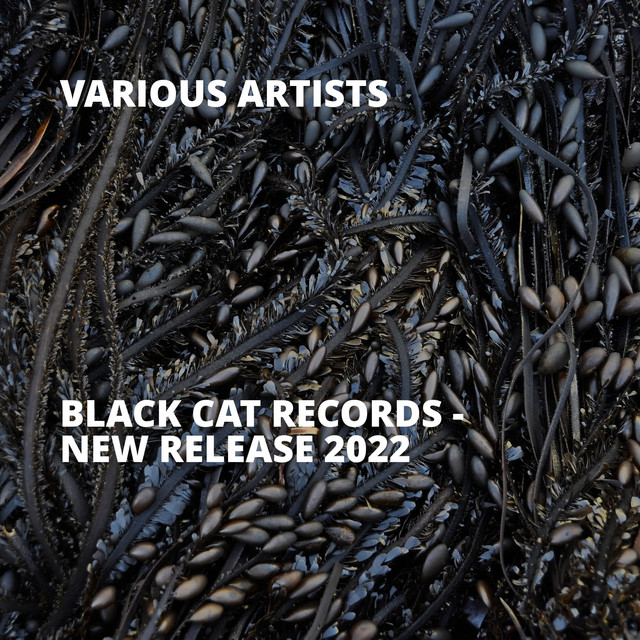 Black Cat Records - New Release 2022 - EP by Various Artists | Spotify