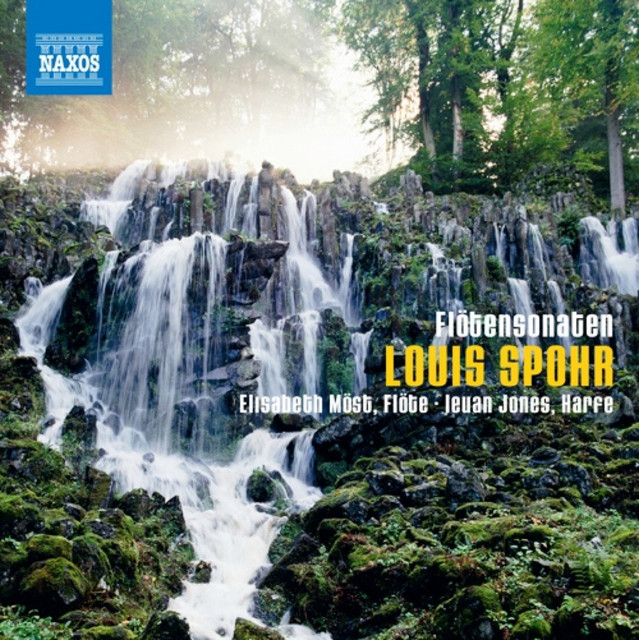 Spohr, L.: Sonatas for Flute and Harp Music