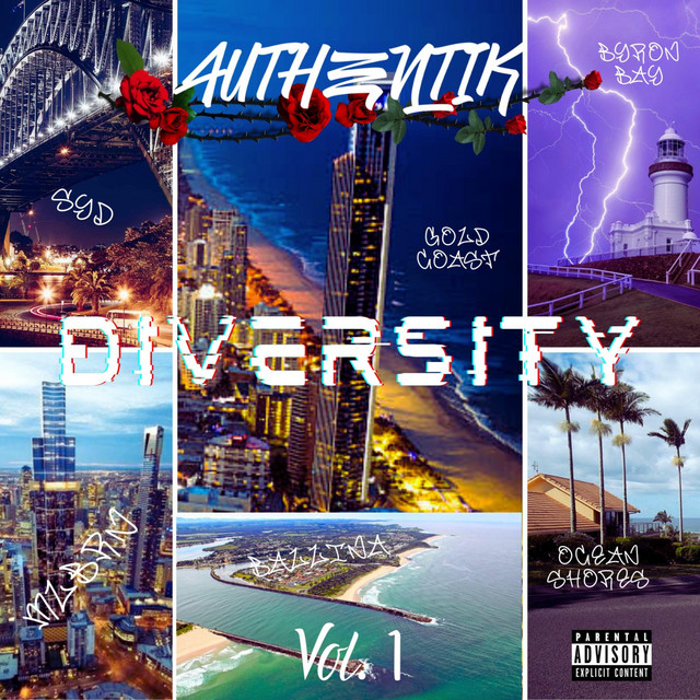 DIVERSITY cover art