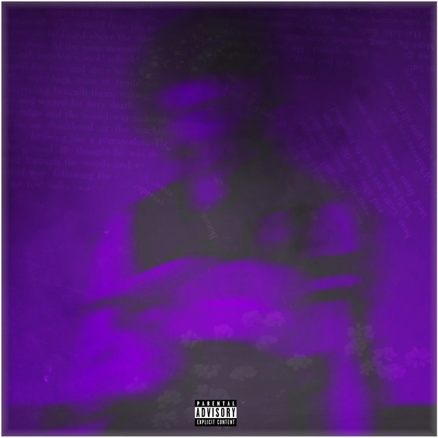 fly cover art