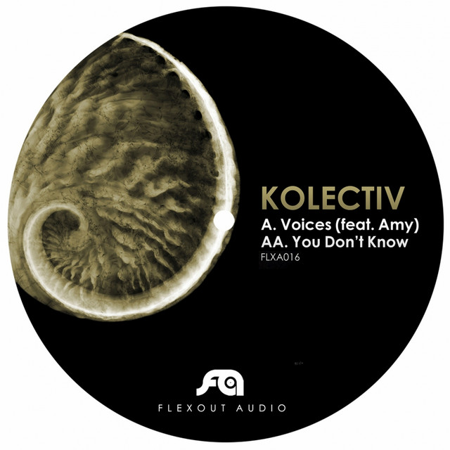 Voices artwork