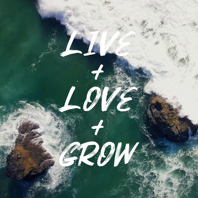 Live + Love + Grow (Lumele TIKS remix) cover