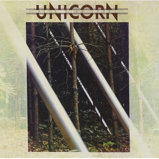 Blue Pine Trees cover art