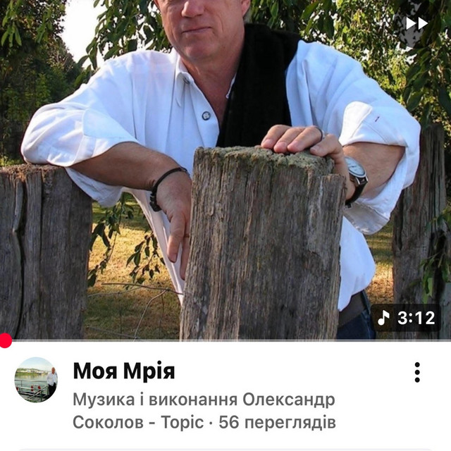 Cover art: Птахи два рожеві — Музика і виконання Олександр Соколов