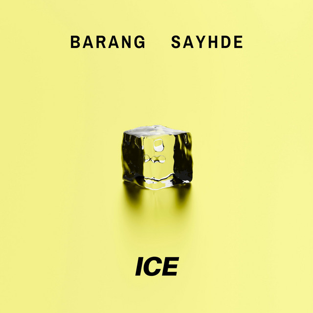 Ice cover art