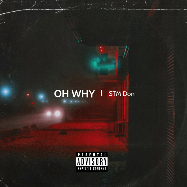 OH WHY - Single by STM Don | Spotify
