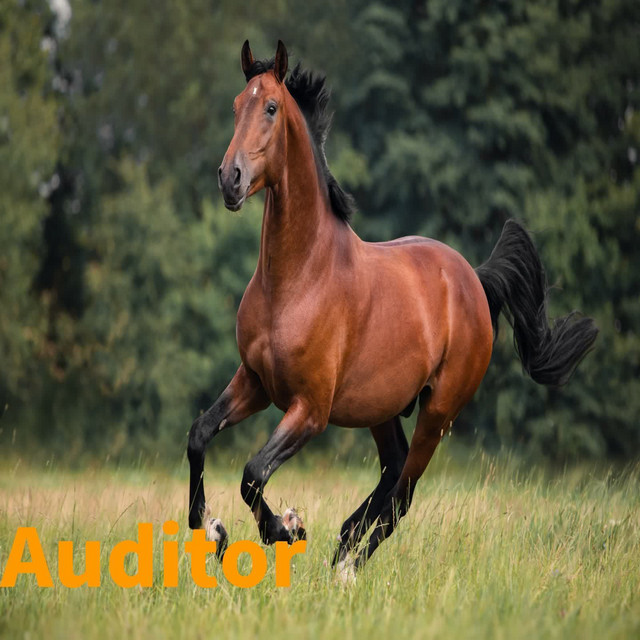 Auditor cover
