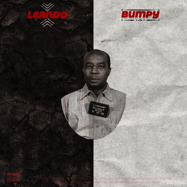 BUMPY cover art