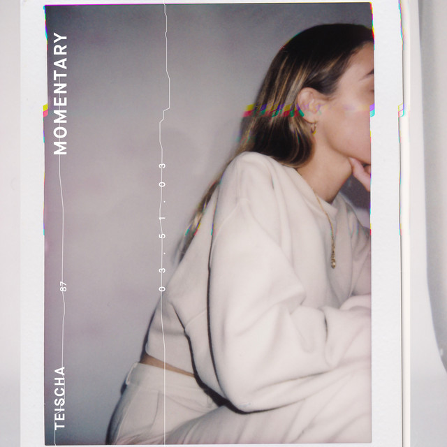 momentary cover art