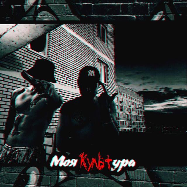Cover art: Моя культура — Shkoda