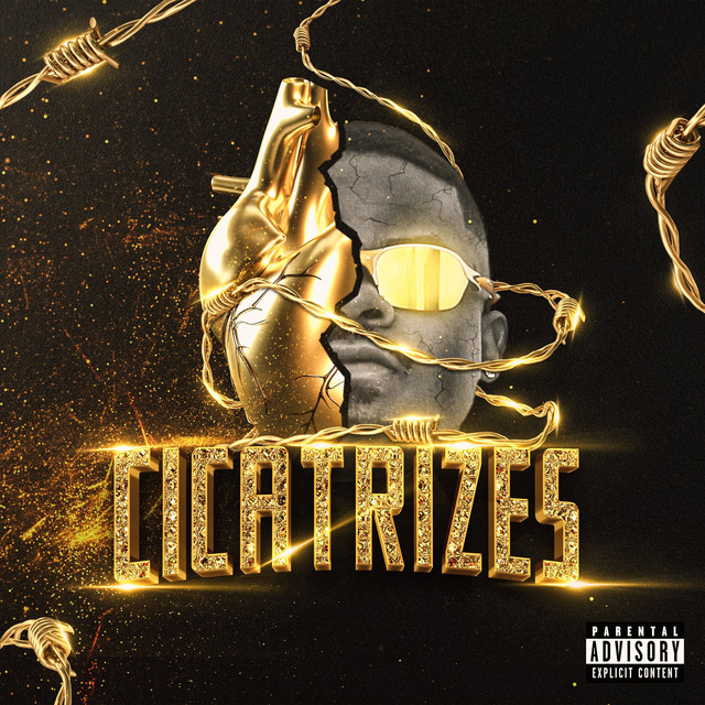 Cicatrizes