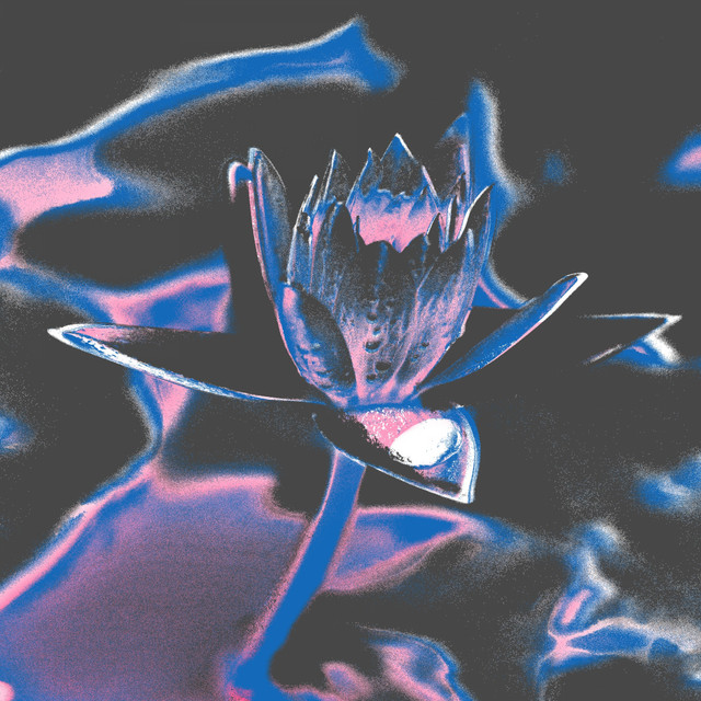 Musa cover art
