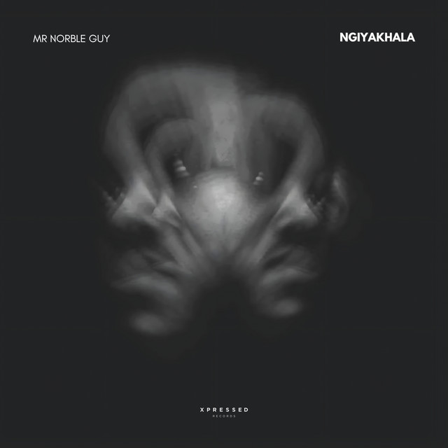 Ngiyakhala album art