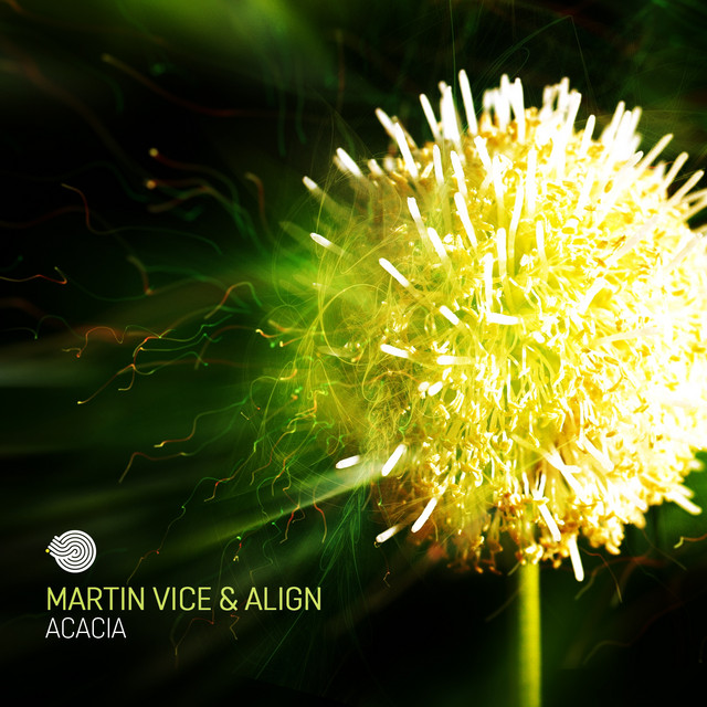 Acacia cover art