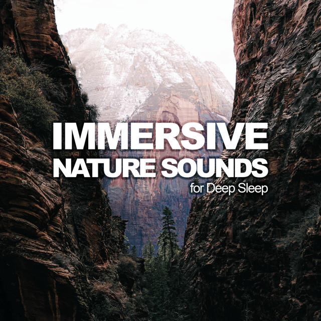 Immersive Nature Sounds for Deep Sleep - Album by Deep Sleep Nature ...
