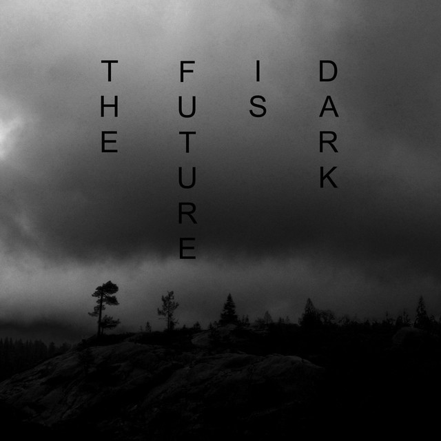 The Future Is Dark cover
