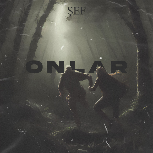Onlar cover art
