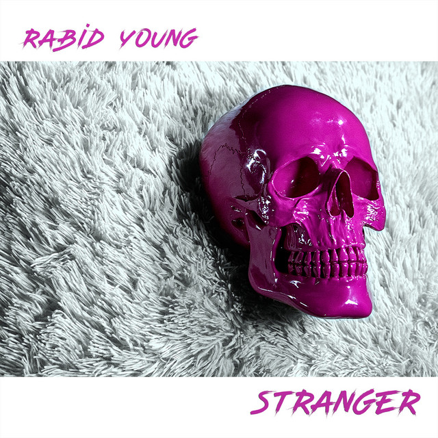 Stranger cover art