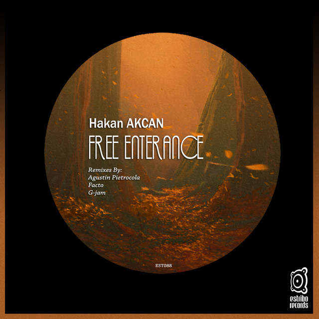Free Enterance - Agustin Pietrocola Remix cover art