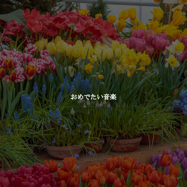 おめでたい音楽 cover art