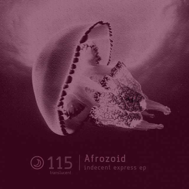 Indecent Express Ep cover art