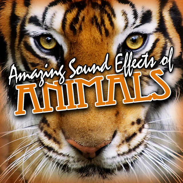 Amazing Sound Effects Of Animals cover art
