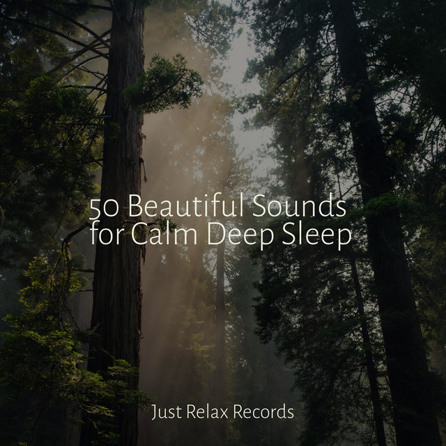 50 Beautiful Sounds for Calm Deep Sleep - Album by Lounge relax | Spotify