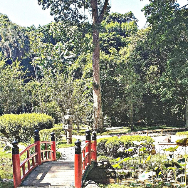 jardim botânico cover art