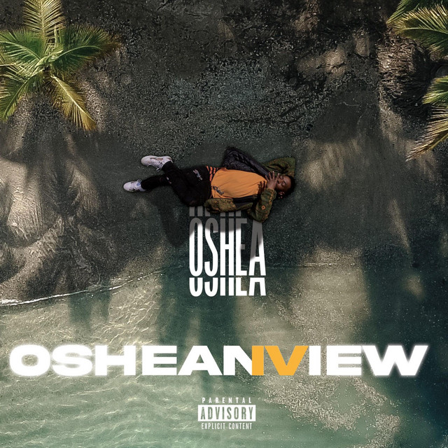 OsheanView 4 cover art