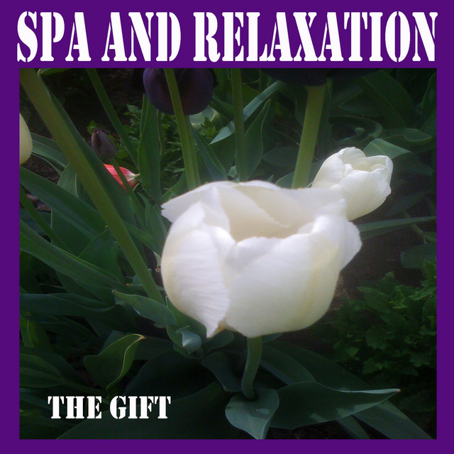 Spa and Relaxation cover art