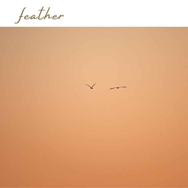 feather
