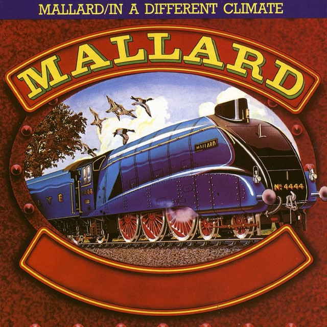 Mallard / In A Different Climate cover art