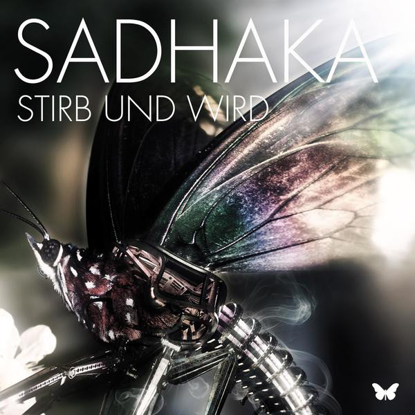 Sadhaka Photo