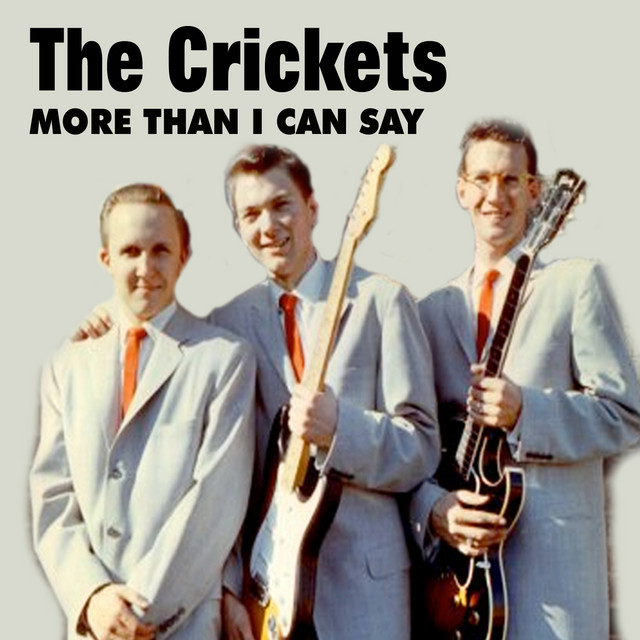More Than I Can Say cover art