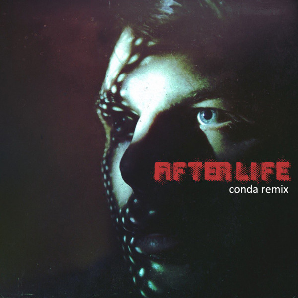 Afterlife cover