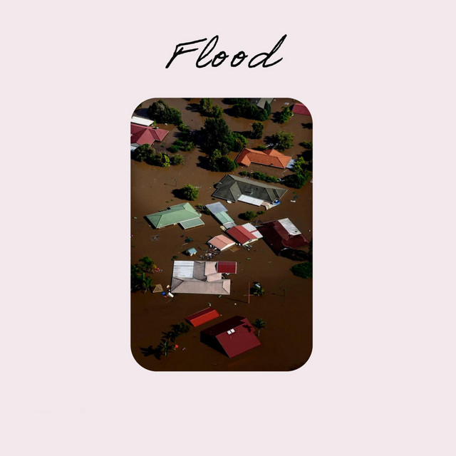 Flood cover art