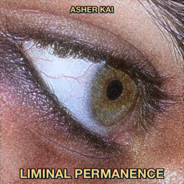Liminal Permanence cover art