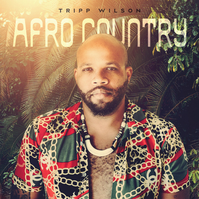 Afro Country cover art