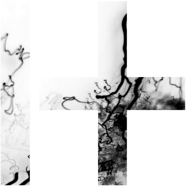 Transhuman cover art