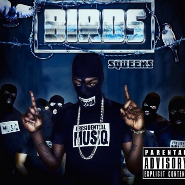 Birds - Single by Squeeks | Spotify