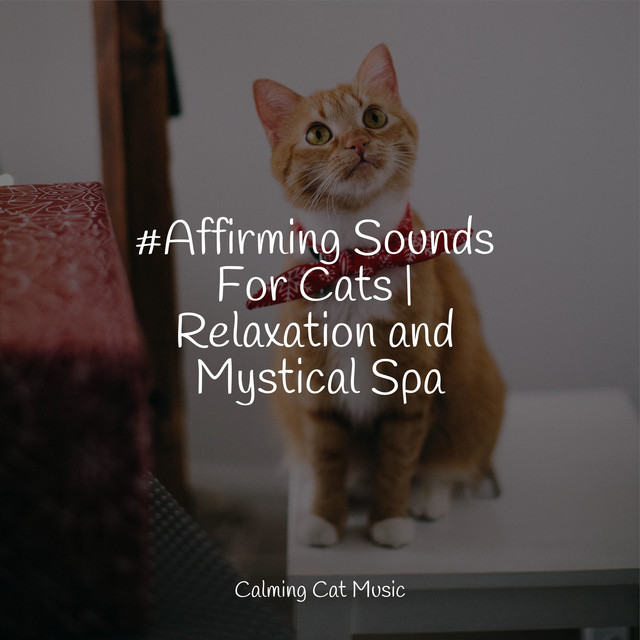 #Affirming Sounds For Cats | Relaxation and Mystical Spa - Album by ...