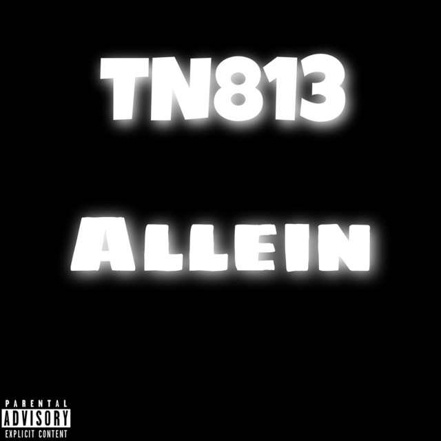 Allein cover