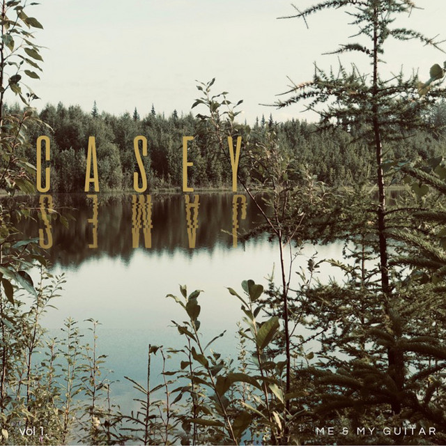 Me & My Guitar, Vol. 1 cover art