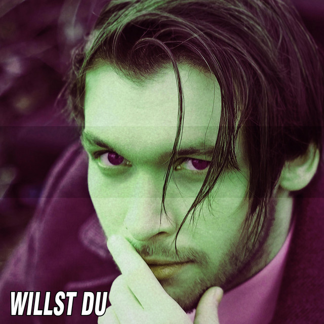 Willst Du cover