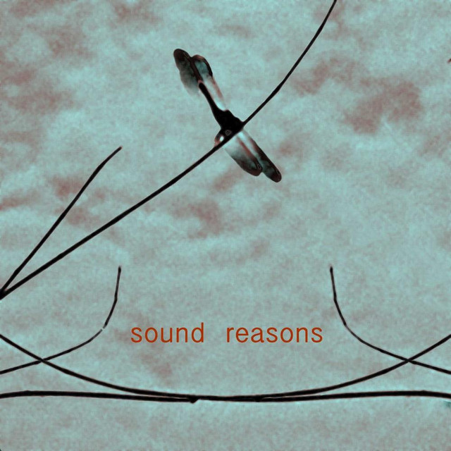 Sound Reasons (T0) cover