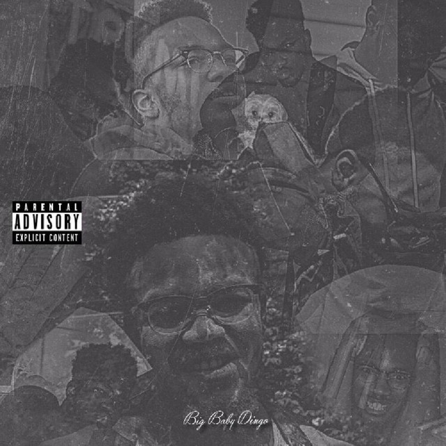 Big Baby Dingo cover art