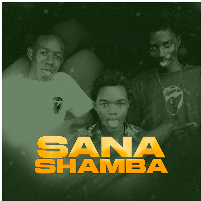 Sana Shamba cover art